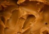 PeanutButterWavesMain PeanutButterWavesMain