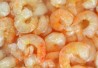 smallshrimp-406 smallshrimp-406