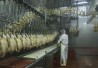 meat-poultry-inspection406x250 meat-poultry-inspection406x250