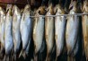 smoked-herring406x250 smoked-herring406x250