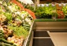 http://www.dreamstime.com/stock-images-grocery-store-supermarket-image4962104 http://www.dreamstime.com/stock-images-grocery-store-supermarket-image4962104