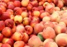 peaches_406 peaches_406