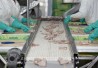 Poultry processing Poultry processing