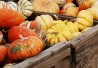 squash-collection-406 squash-collection-406