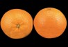 oranges_406x250 oranges_406x250