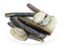 http://www.dreamstime.com/stock-photography-group-assorted-clams-image8327552 http://www.dreamstime.com/stock-photography-group-assorted-clams-image8327552