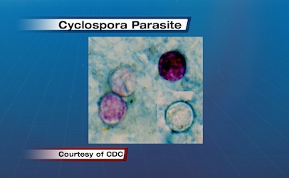 Spike in cyclospora cases has Texas doctors searching for source