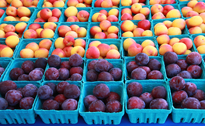 http://www.dreamstime.com/stock-images-plums-nectarines-image10229604