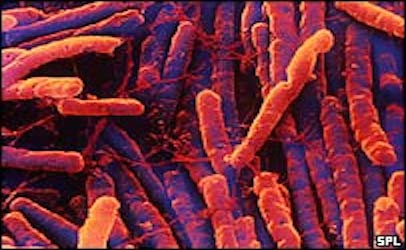 What is a Clostridium difficile infection?