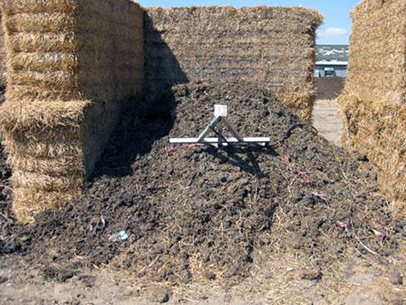 Stockpiled manure from cattle treated with antibiotics. The heat generated in the pile kills most bacteria in the interior of the manure pyramid, but may not reach the exterior of the pile.