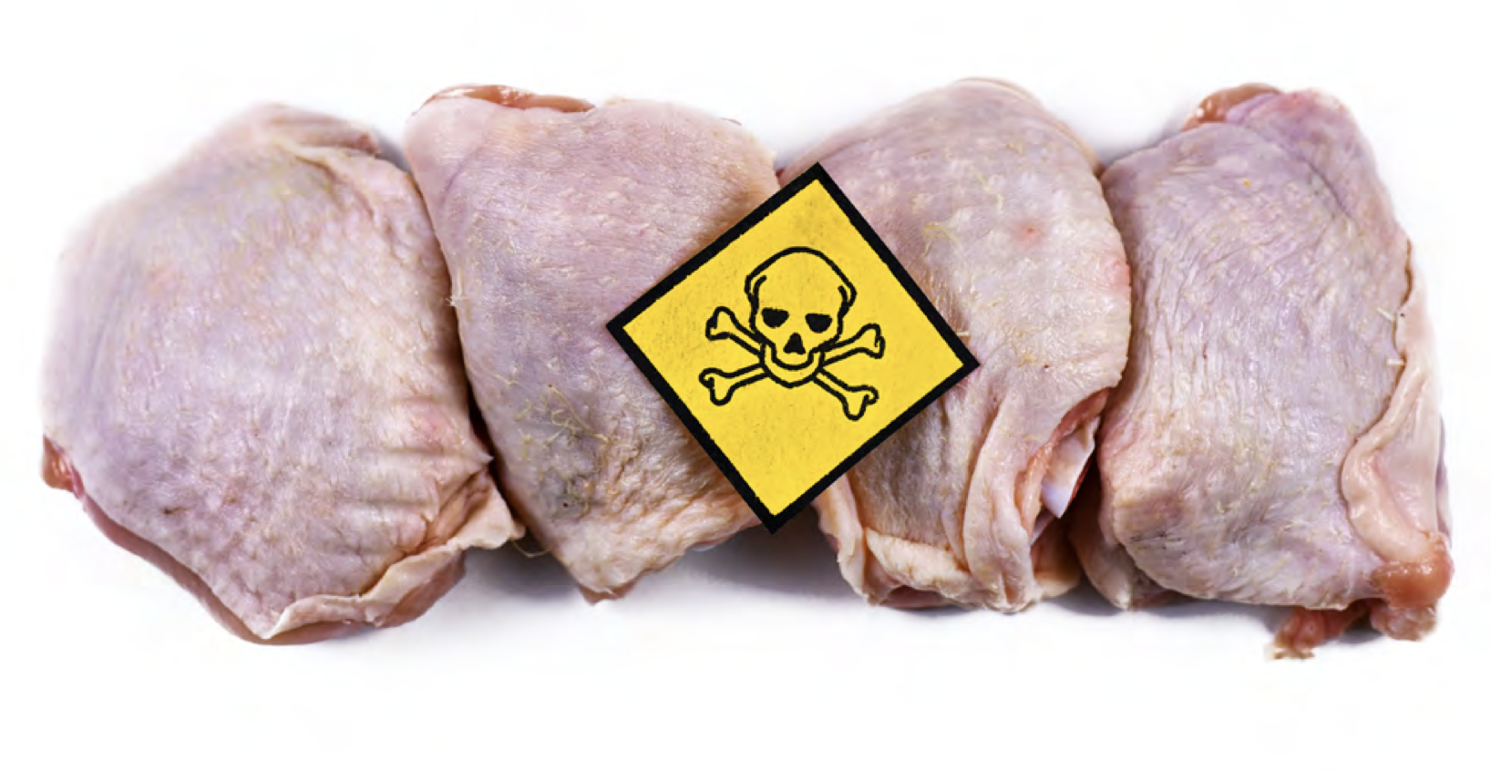 Non-profit group reveals severity of ongoing Salmonella contamination in poultry