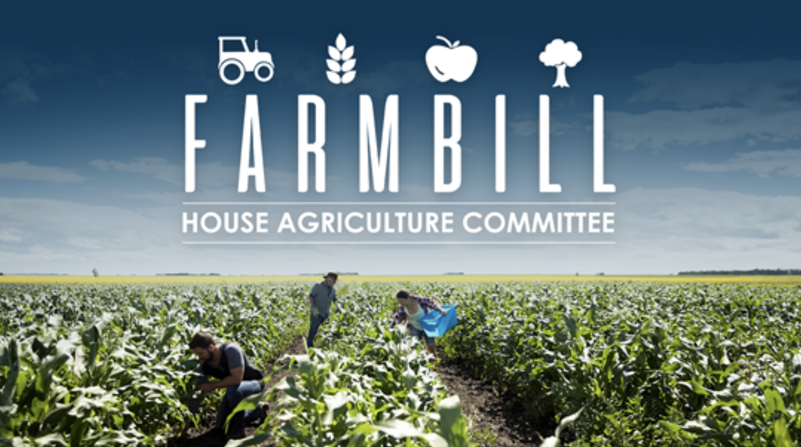 Sunday Edition: The Farm Bill