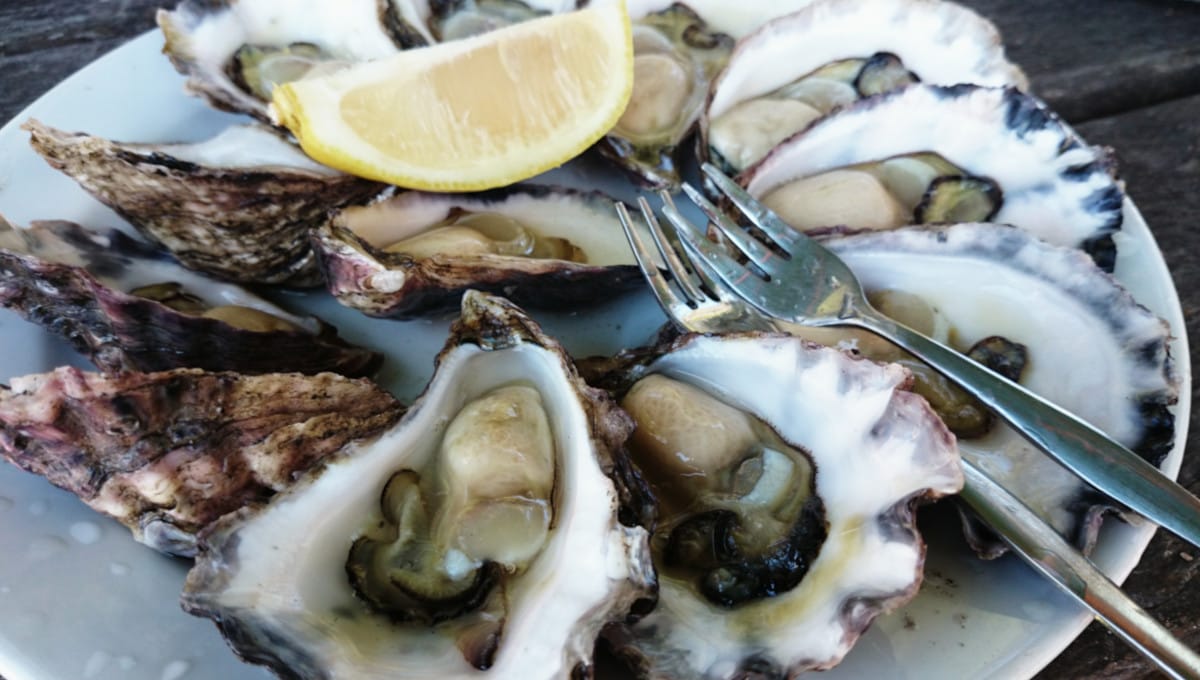 FDA issues warning about oysters from British Columbia