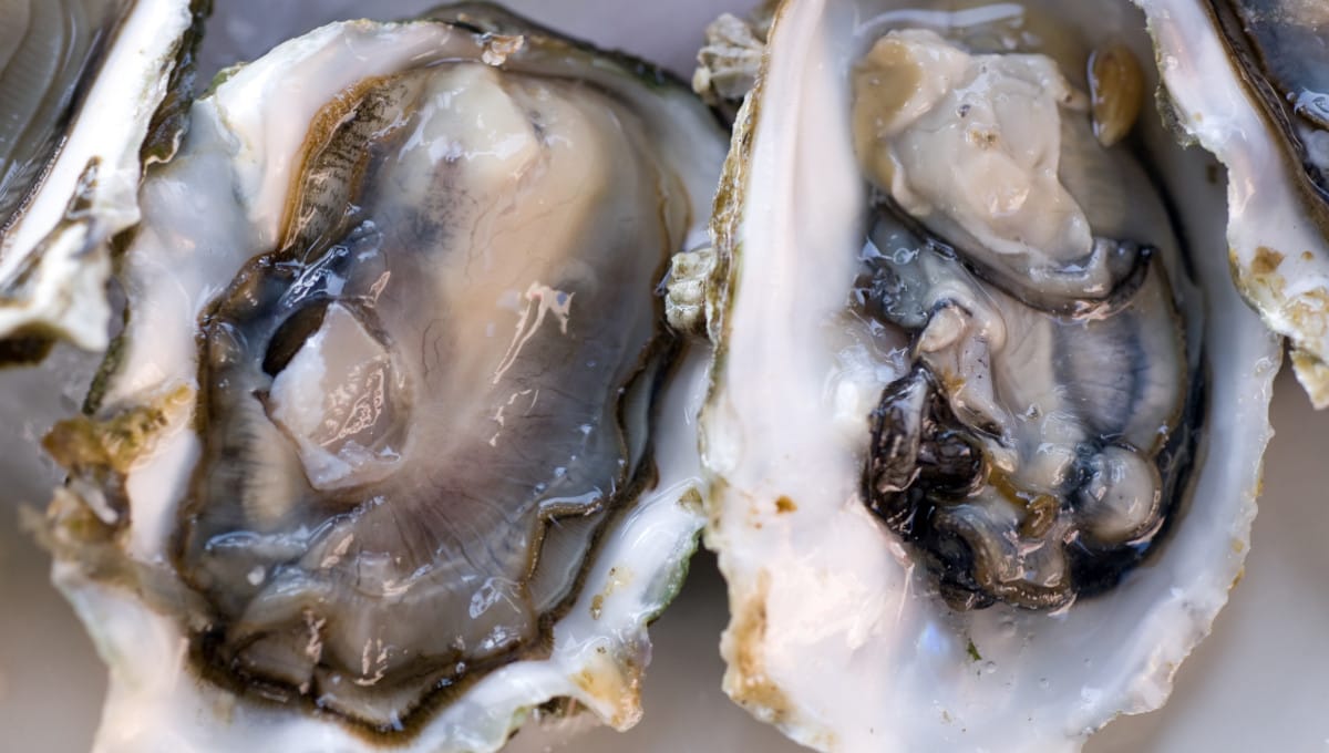 FDA expands warning about oysters from Canada