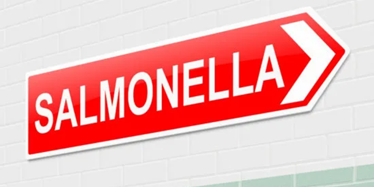 High rate of Salmonella found in pork in Hong Kong