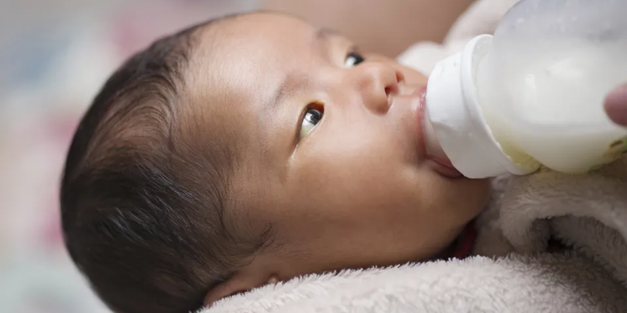 &lsquo;Moderate&rsquo; risk in cereulide infant formula incident, says WHO