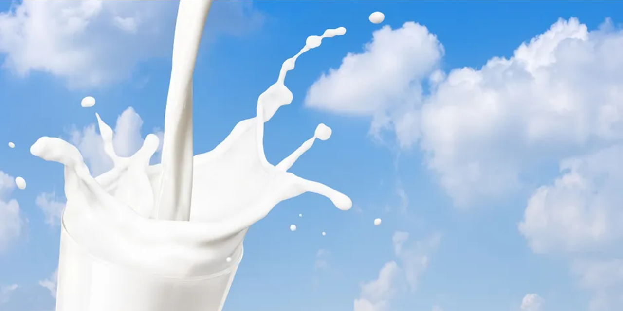 Scottish sampling uncovers milk allergen failures