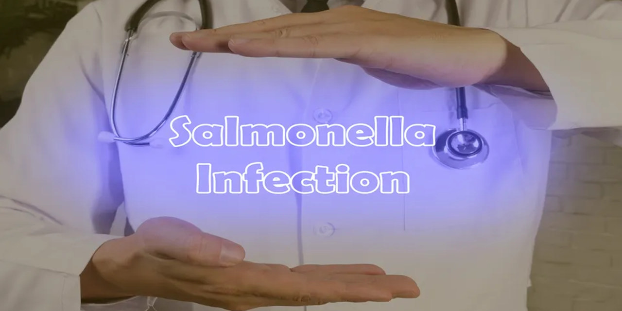 Scientists show diversity of Salmonella strain