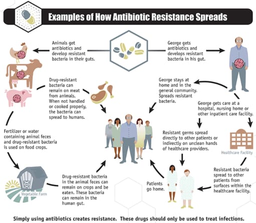 CDC-graphic-antibiotic-resistance