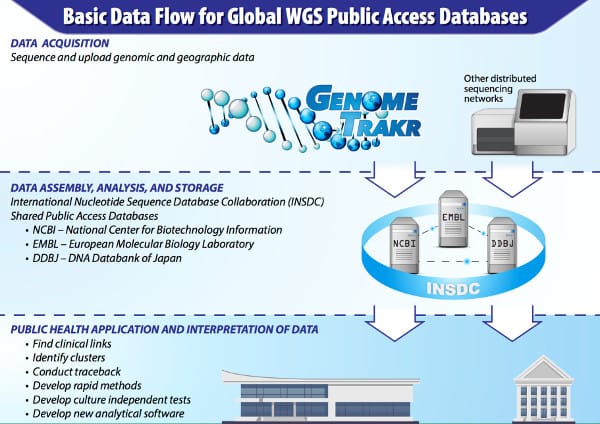 GenomeTrakr data flow