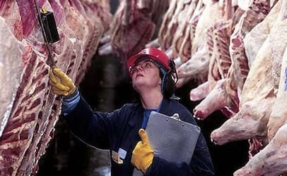 U.S. beef industry faces new policies and testing for mad cow disease