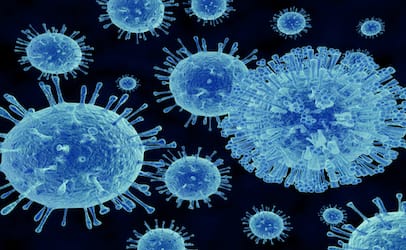 norovirus_406x250