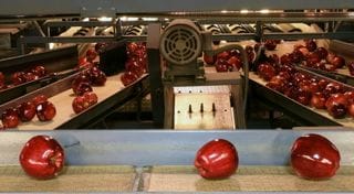 apple-processing1-iphone