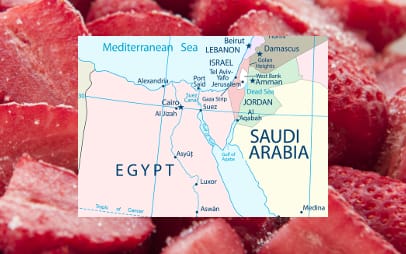 Egypt map on strawberry background