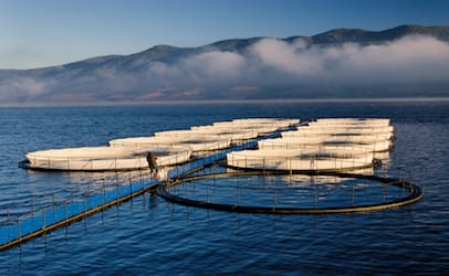 fishfarm_406x250