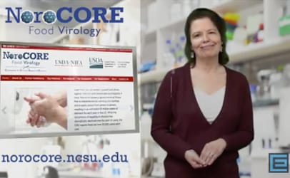 To watch a 4-minute video presentation by Lee-Ann Jaykus, scientific director of NoroCORE, click on the image.