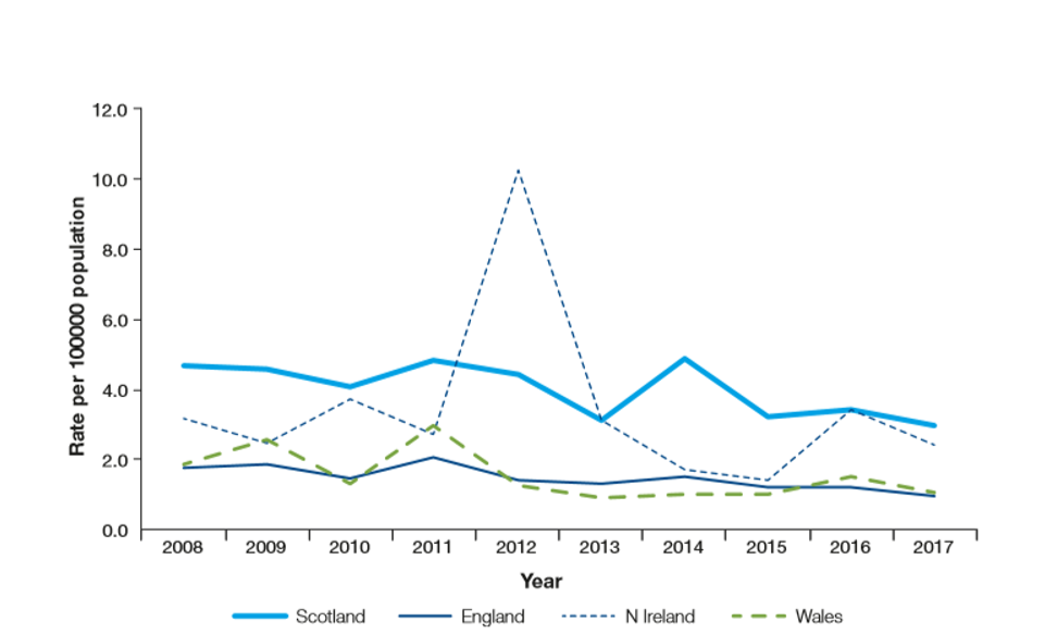 E. coli O157 study could explain higher human infection rates in Scotland