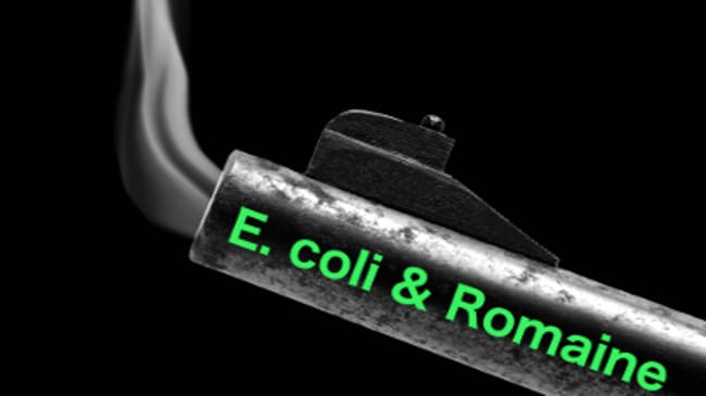 Publisher’s Platform: How is that romaine E. coli traceback coming along?