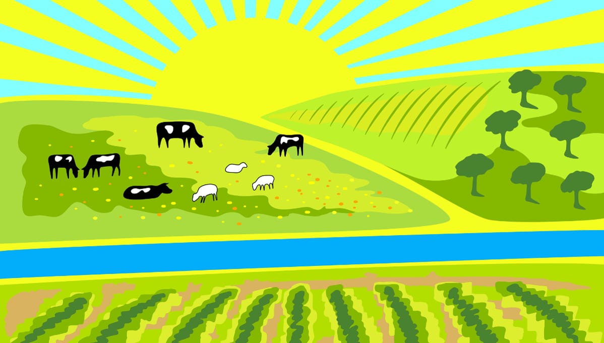 Publisher’s Platform: Another E. coli outbreak in leafy greens – given the time of the year likely linked again to Yuma