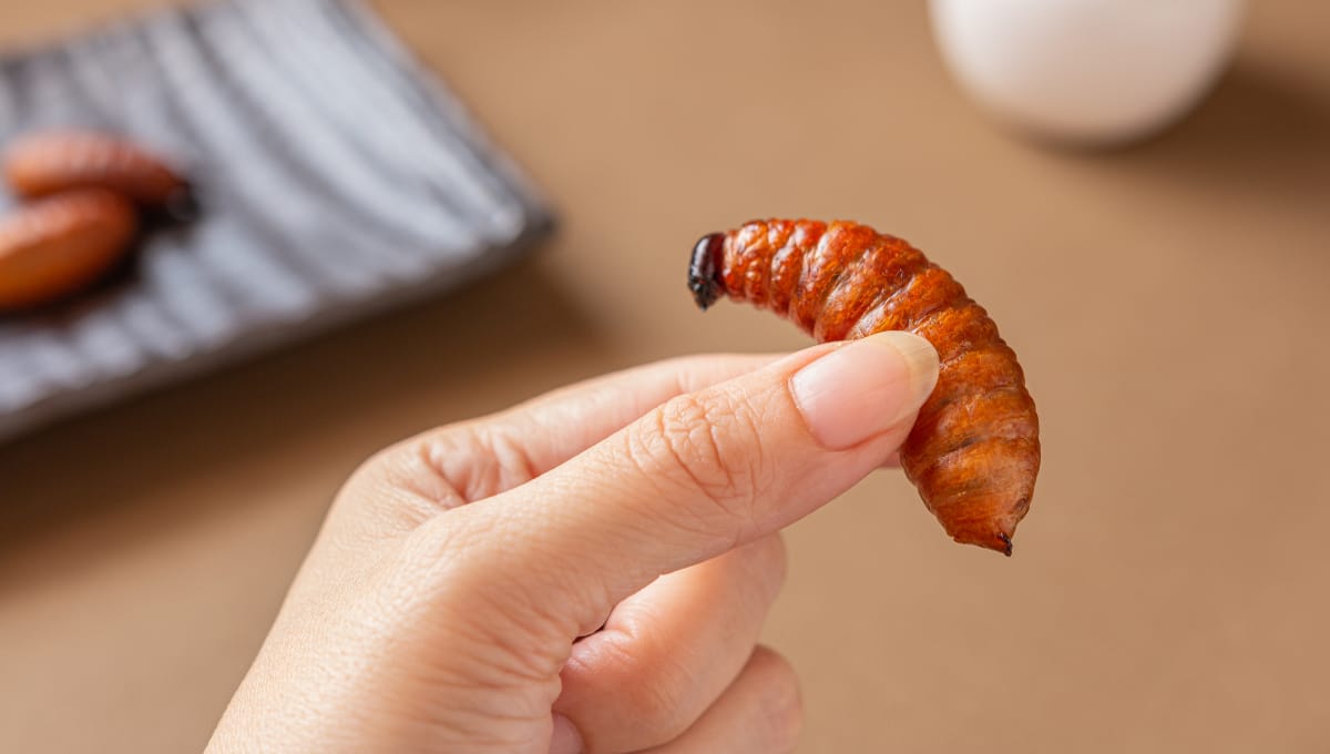 Grubbing bugs: Can we get over the ‘ick’ factor?