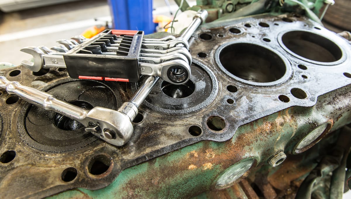 The meat industry’s grip on government — time for an overhaul?