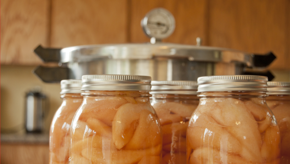 Safe methods for canning and garden produce preservation for novices
