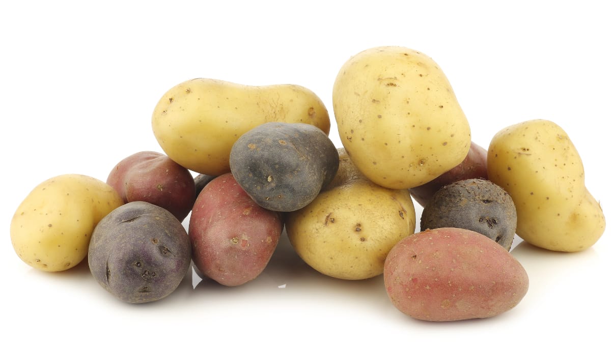 Tune into these important  food safety tips for cooked potatoes