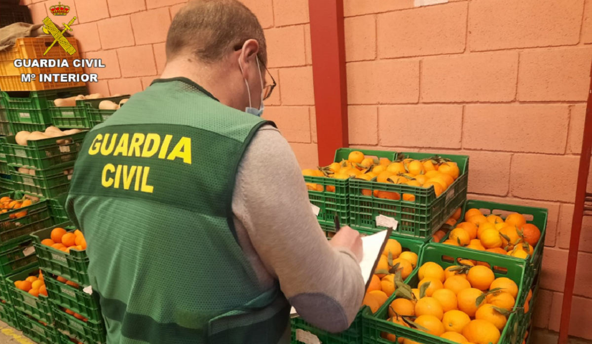 Spanish agencies, Europol involved in Dutch meat fraud investigation