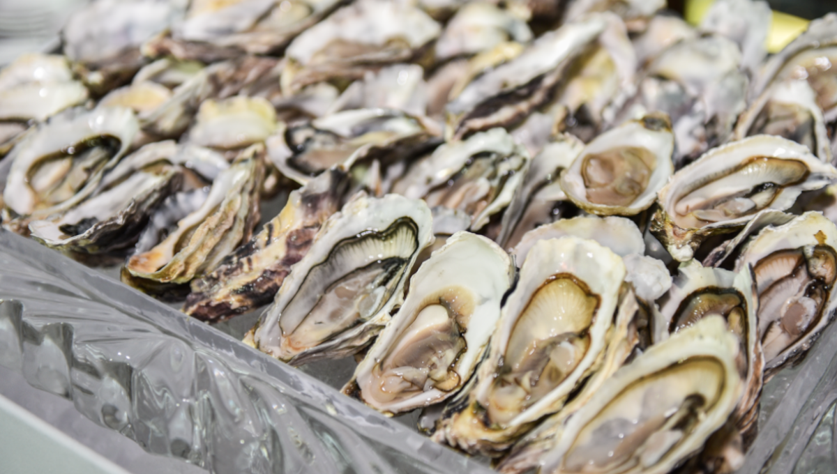 Oysters recalled in Canada because of E. coli contamination | Food Safety  News
