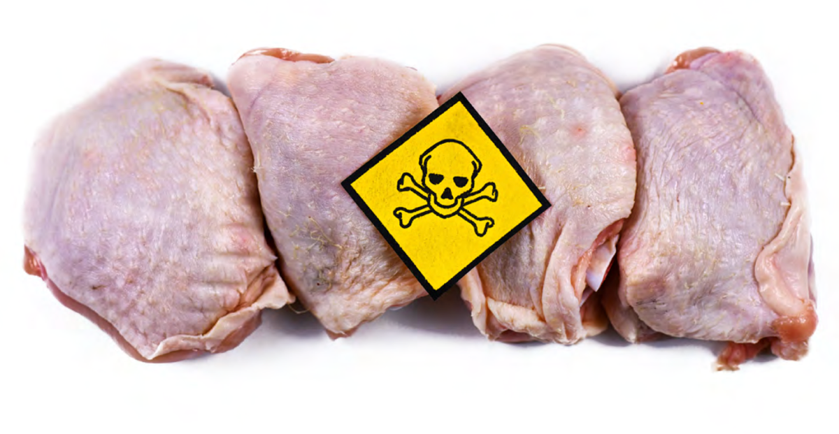 Non-profit group reveals severity of ongoing Salmonella contamination in poultry