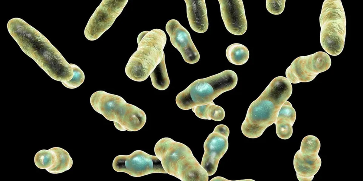 Restaurant outbreak sickens 43 people in Wales