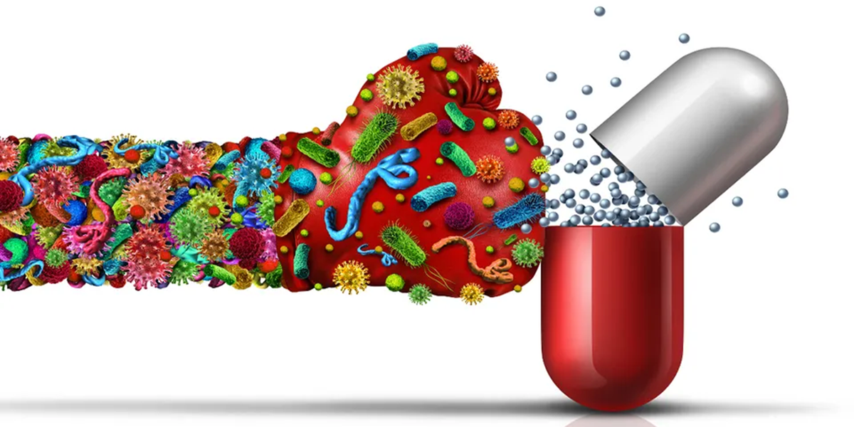 EU report details latest data on AMR in bacteria