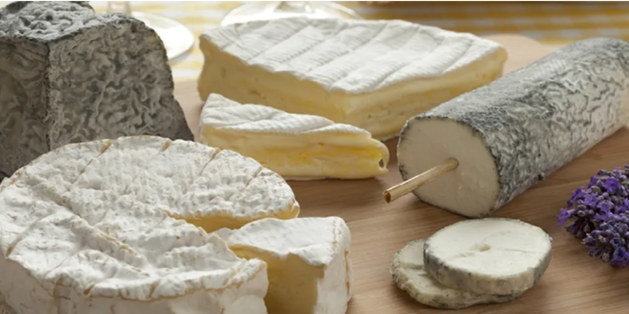 Scientists highlight options to improve raw milk cheese safety