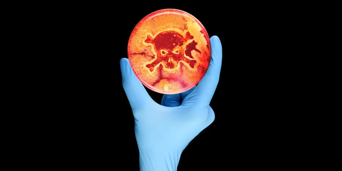 E. coli survival in French pizza outbreak remains a mystery