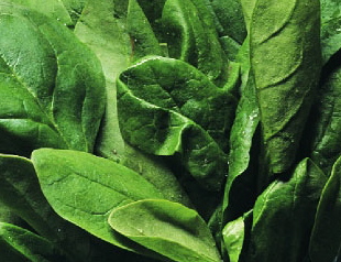 spinach.jpg