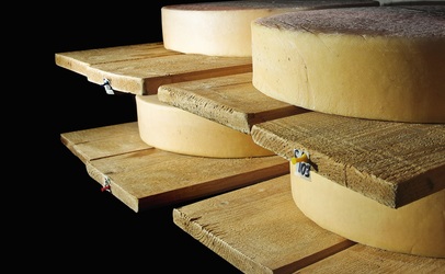 cheese-shelf-406