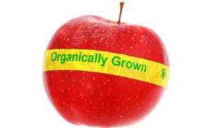 organicapple_406