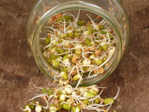 http://www.dreamstime.com/royalty-free-stock-photography-growing-sprouts-image16692667