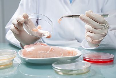 http://www.dreamstime.com/royalty-free-stock-photography-food-safety-concept-quality-control-expert-inspecting-poultry-specimen-laboratory-image49867307