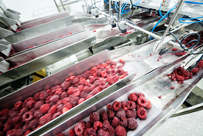 http://www.dreamstime.com/royalty-free-stock-photography-frozen-raspberry-processing-business-red-raspberries-sorting-machines-image48322997